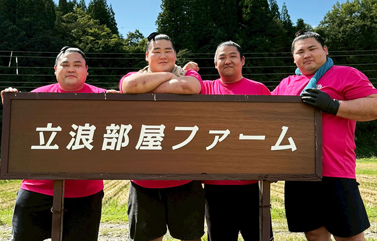 立浪部屋ファーム